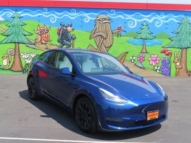 2020 TESLA Model Y