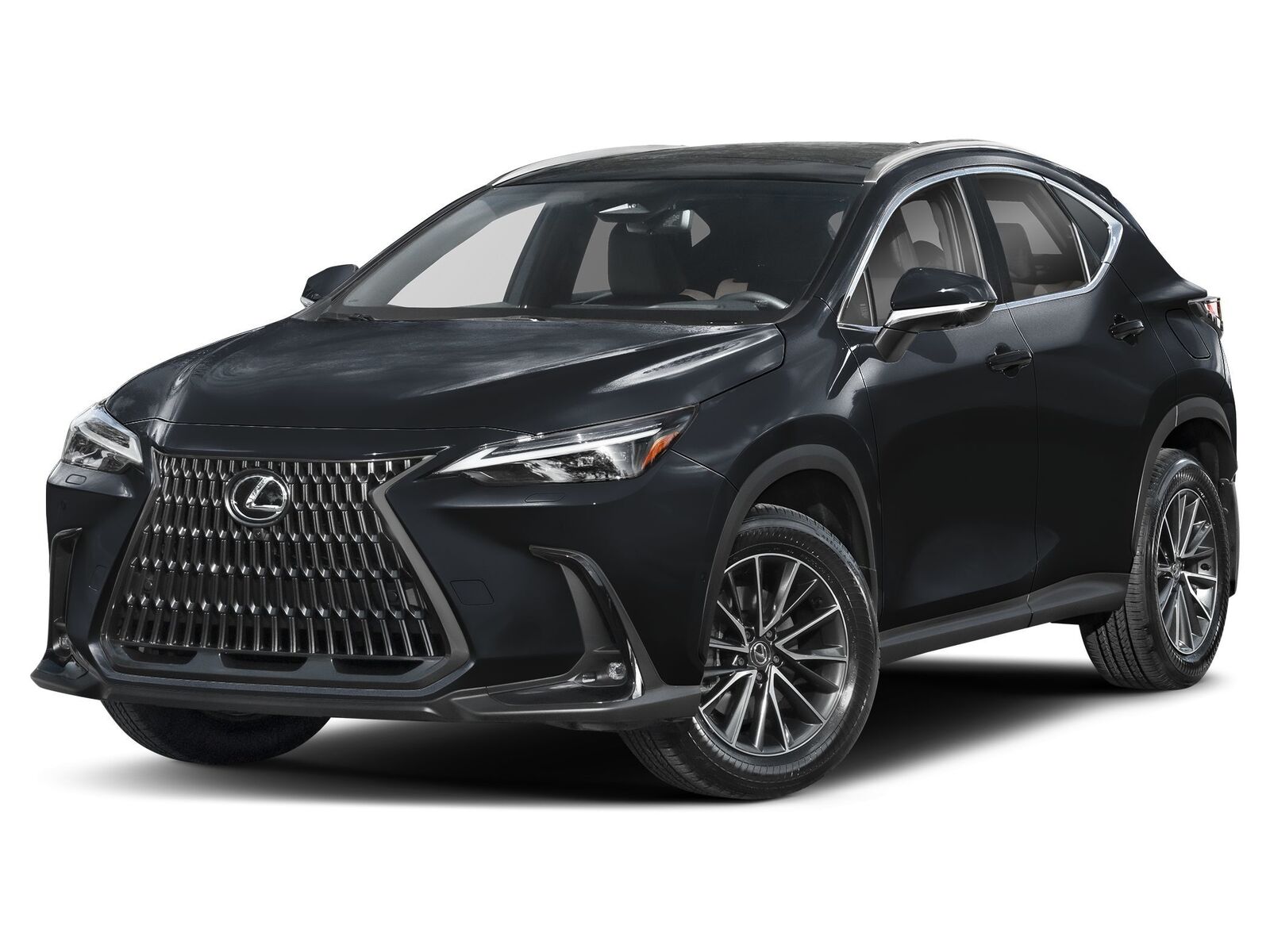 2025 LEXUS NX