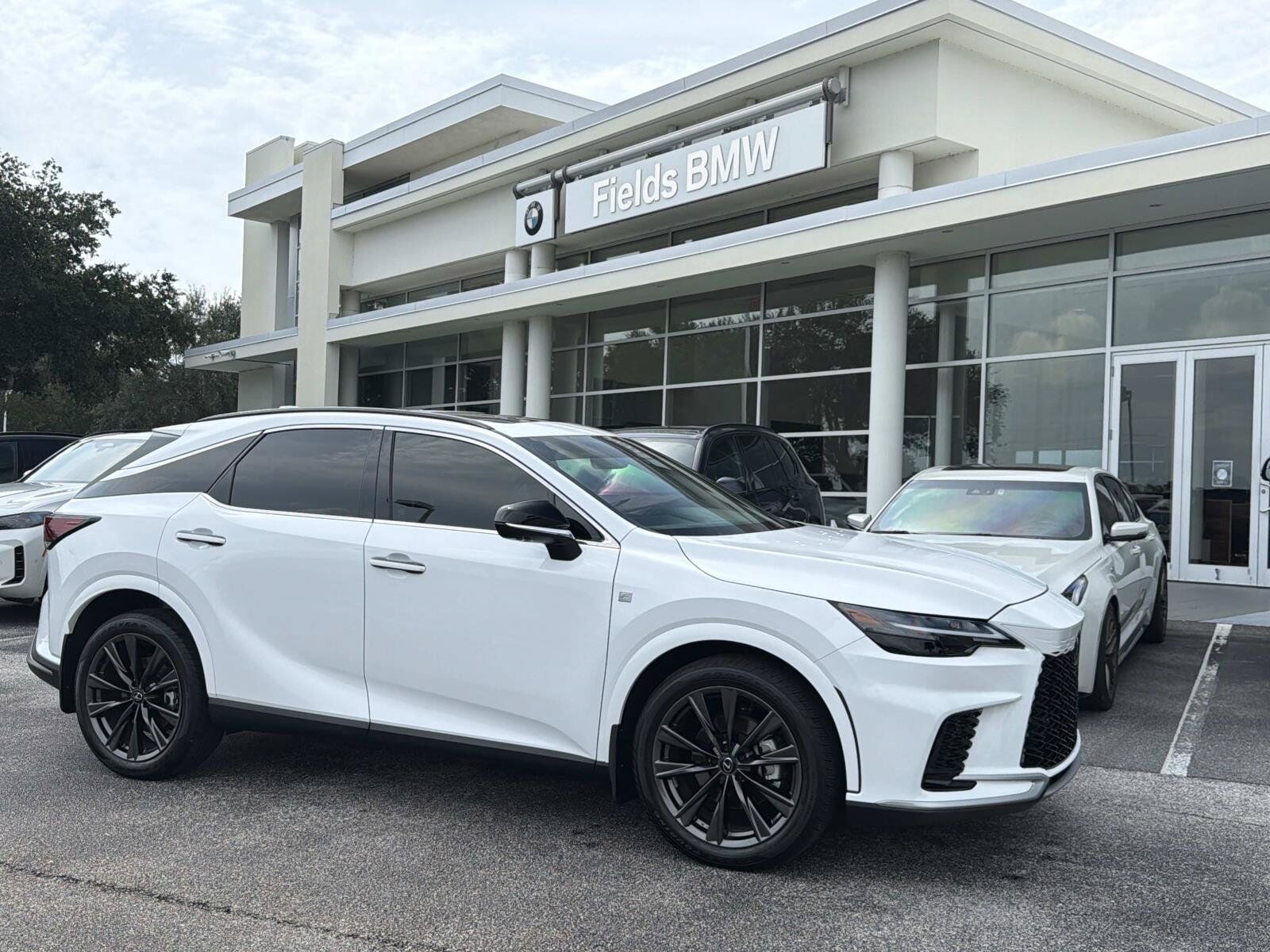 2025 LEXUS RX