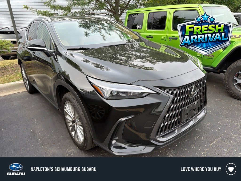 2025 LEXUS NX
