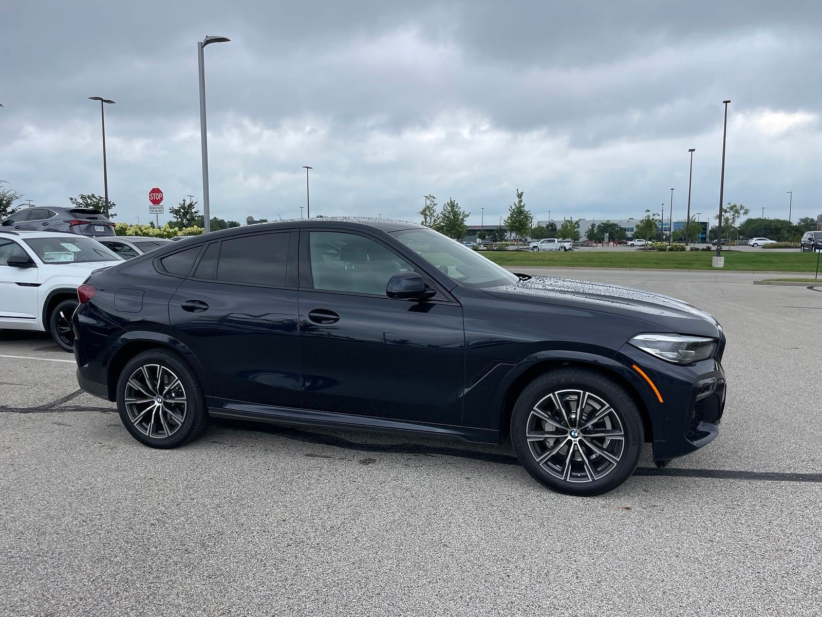 2023 BMW X6
