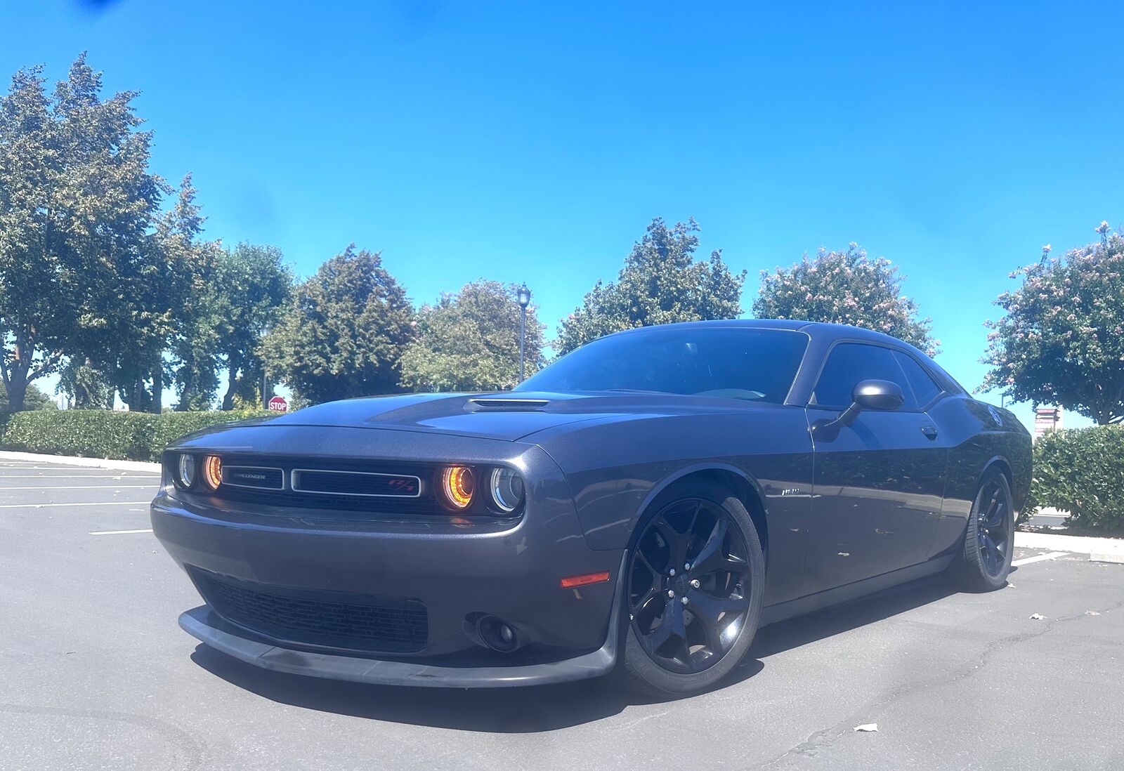 2016 DODGE Challenger