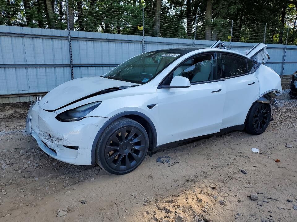 2020 TESLA Model Y