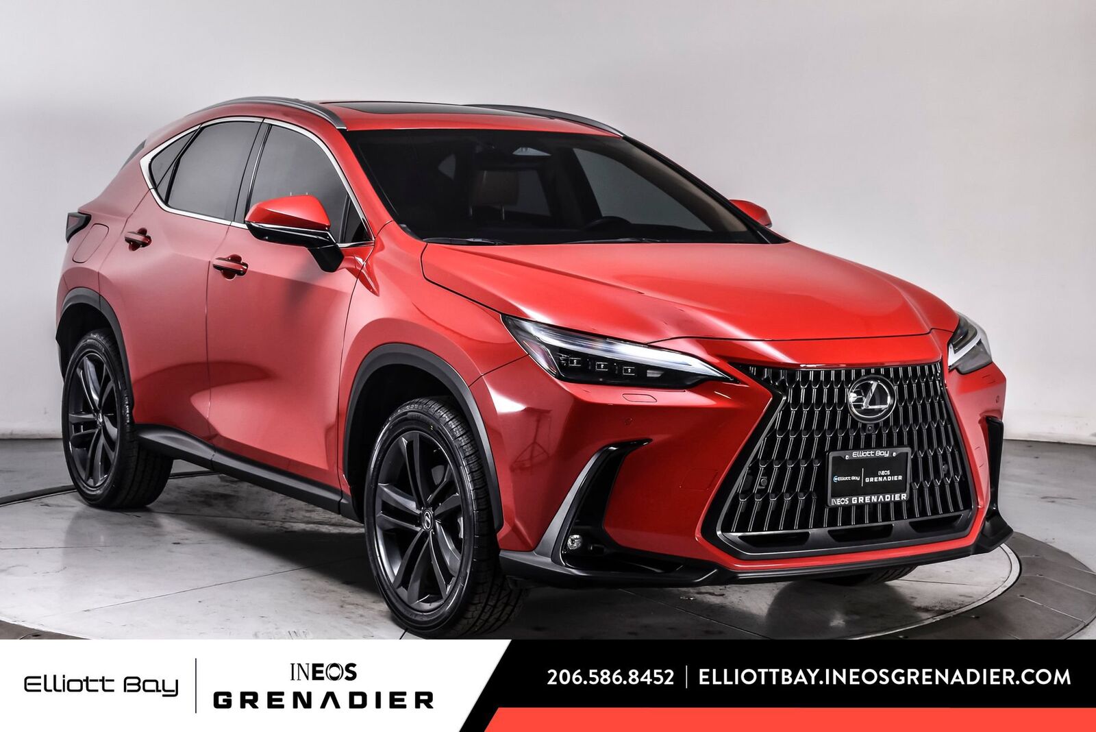 2024 LEXUS NX