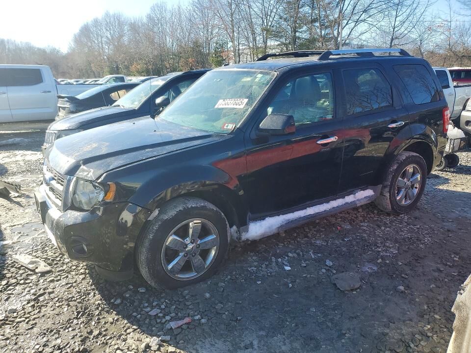 2009 FORD Escape