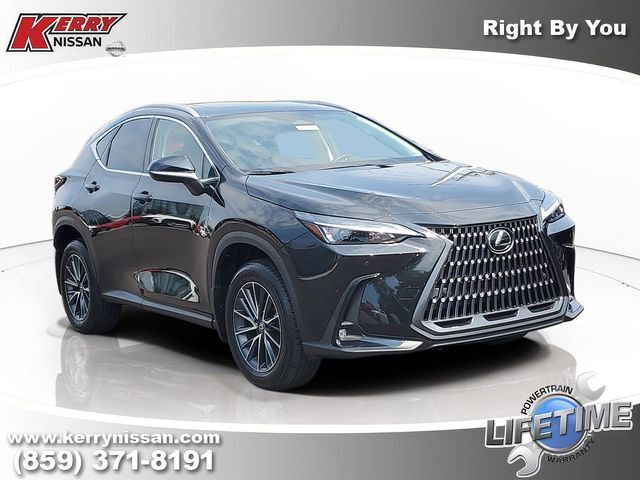 2025 LEXUS NX