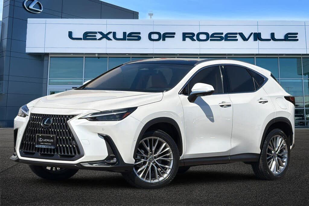 2025 LEXUS NX