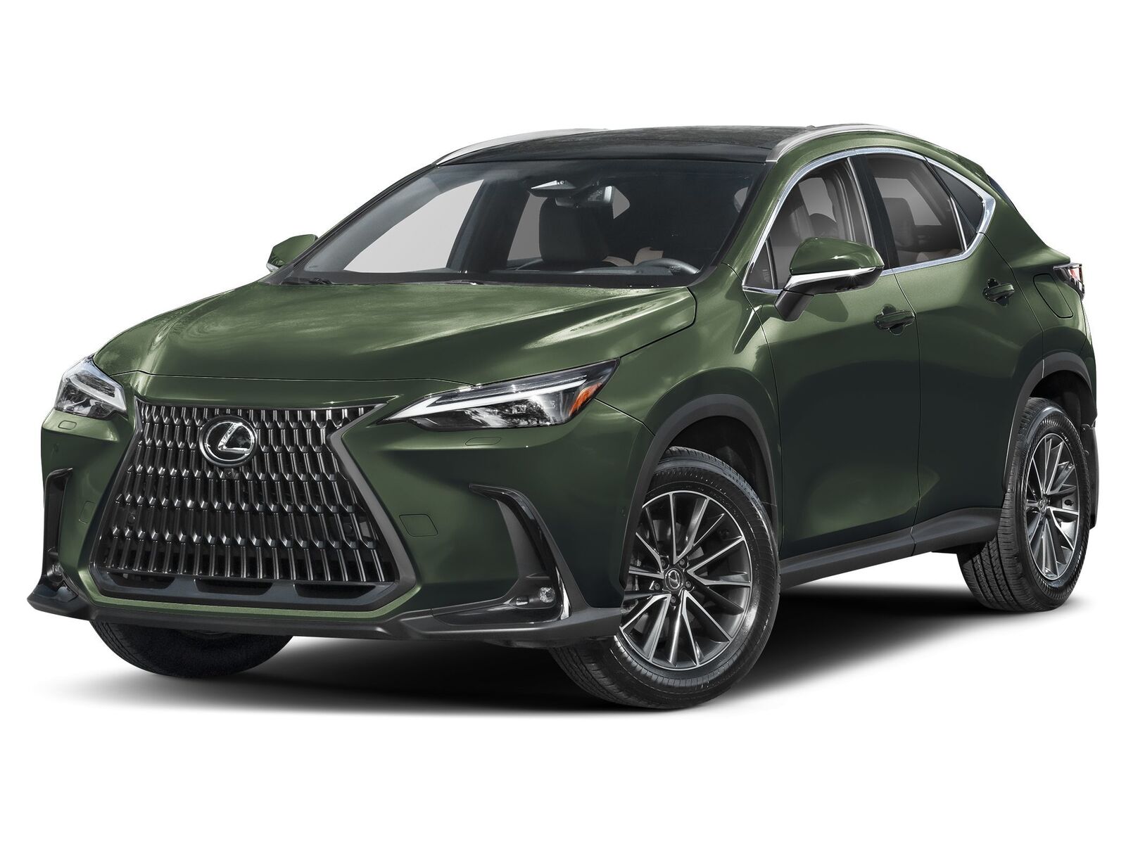 2025 LEXUS NX