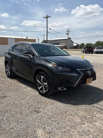 2018 LEXUS NX
