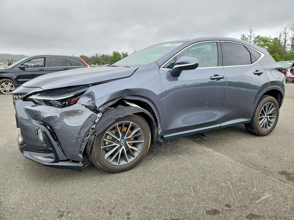 2024 LEXUS NX