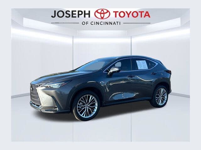 2025 LEXUS NX