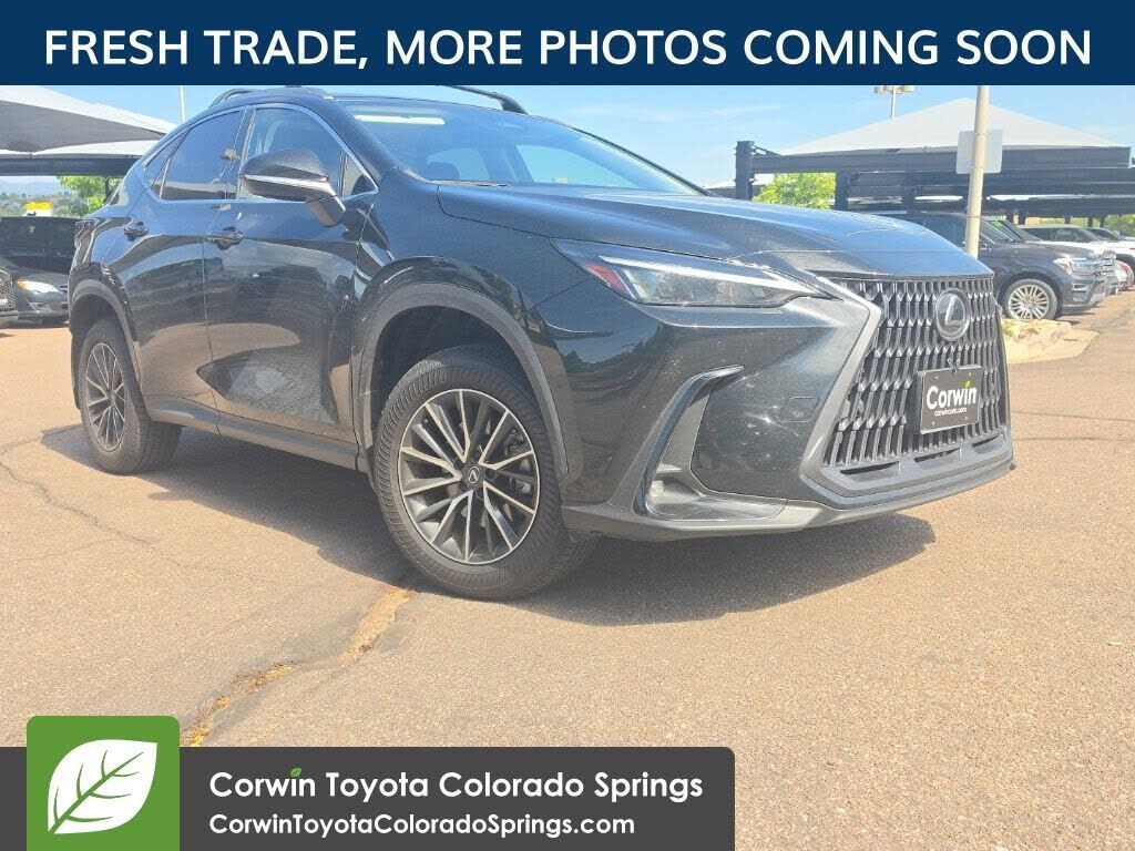 2024 LEXUS NX