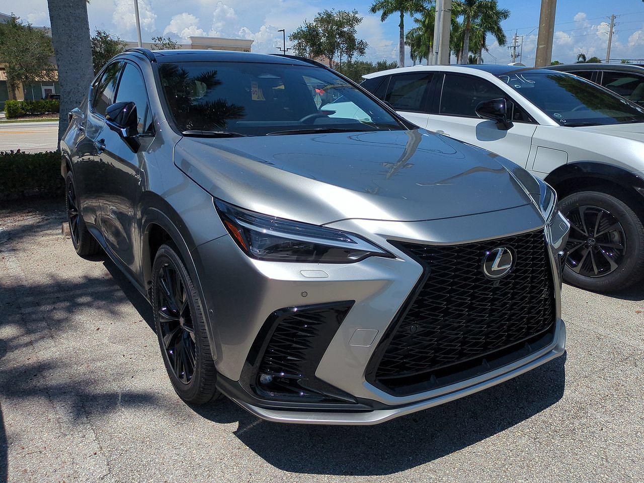 2026 LEXUS NX