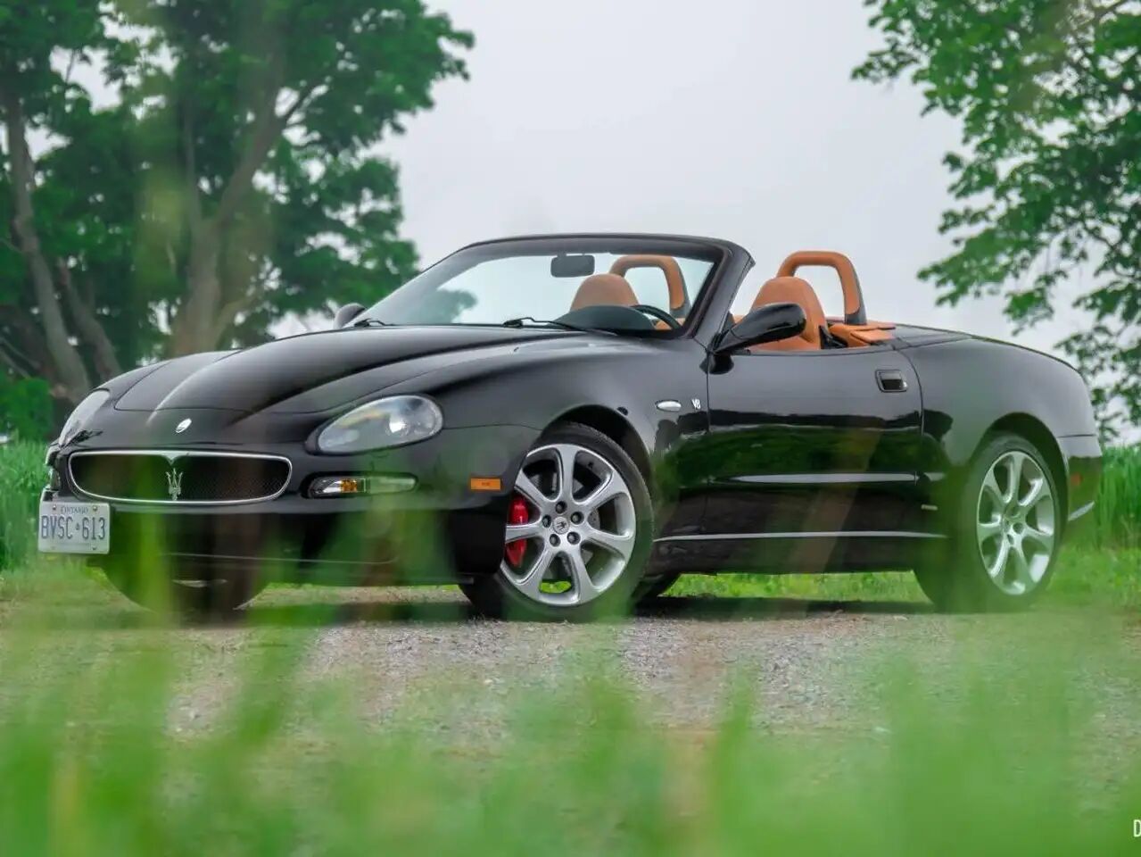 Maserati Spyder