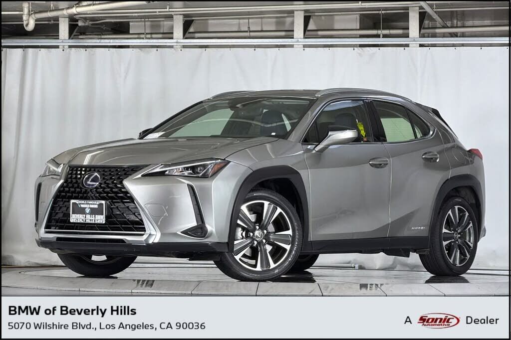 2019 LEXUS UX