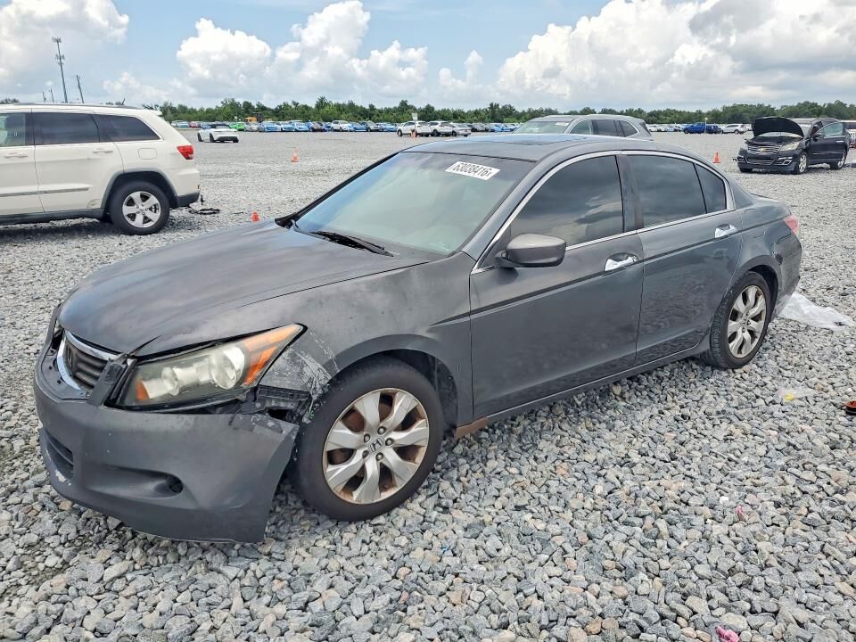 2010 HONDA Accord