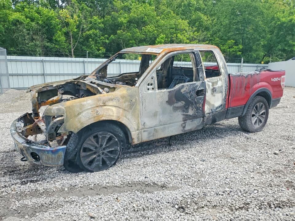 2010 FORD F-150