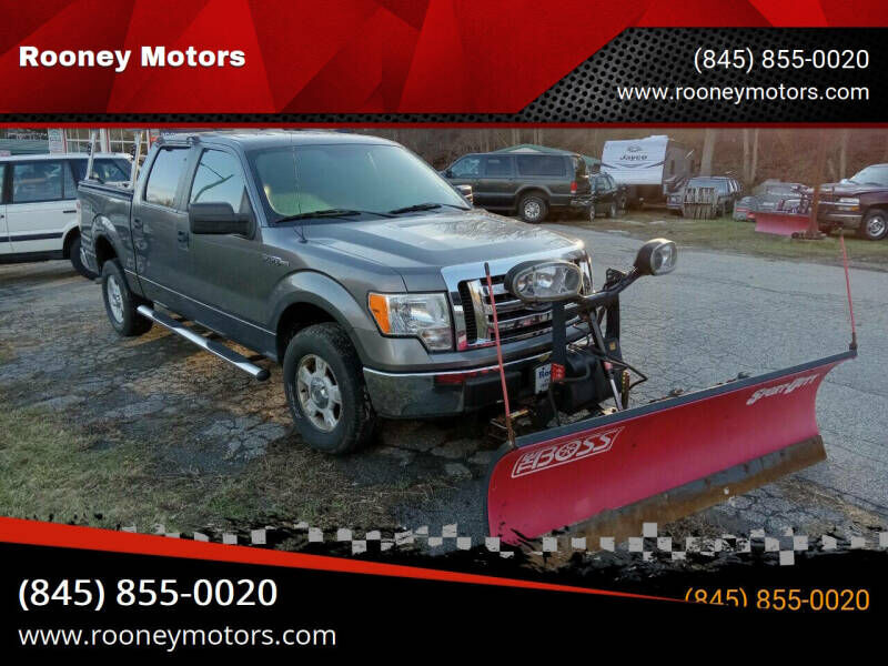 2010 FORD F-150