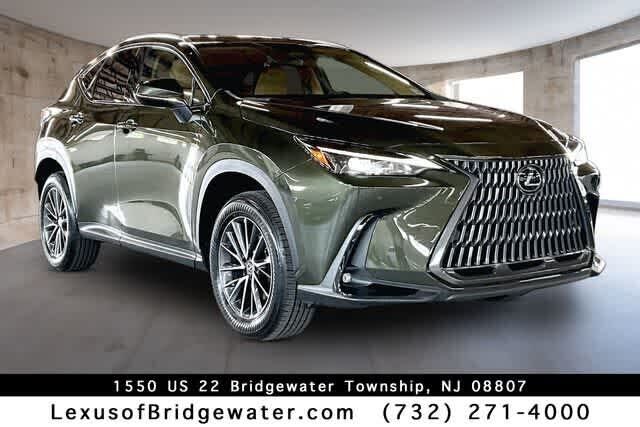 2024 LEXUS NX