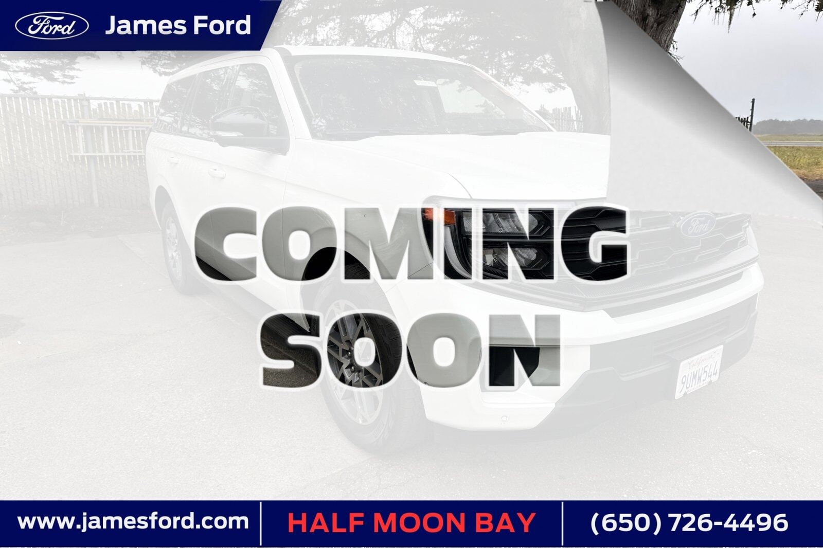 2025 FORD Expedition