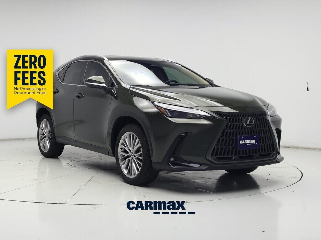 2025 LEXUS NX