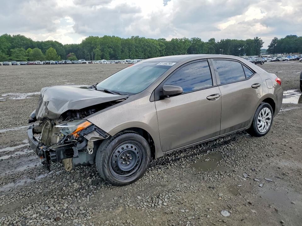 2019 TOYOTA Corolla