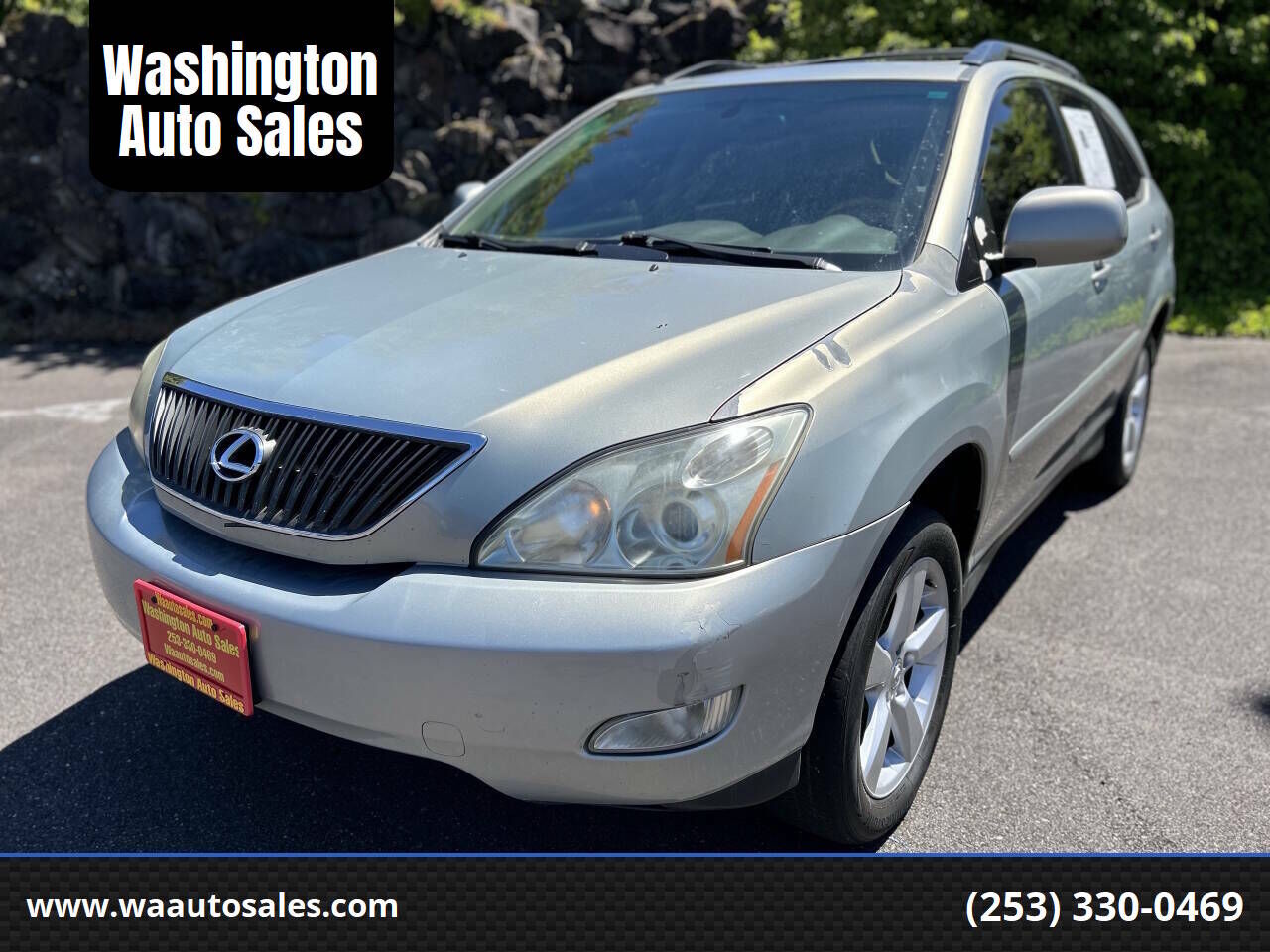 2004 LEXUS RX