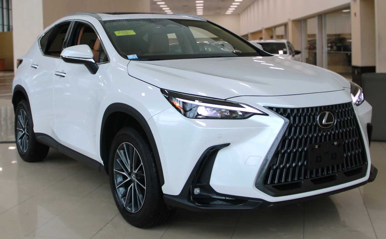 2025 LEXUS NX