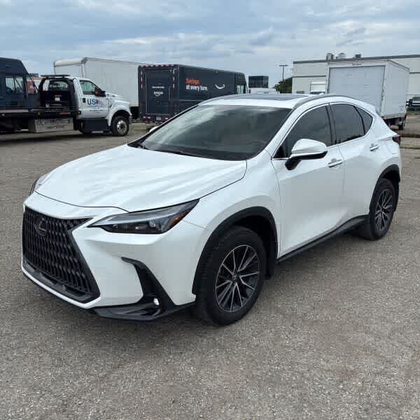 2024 LEXUS NX