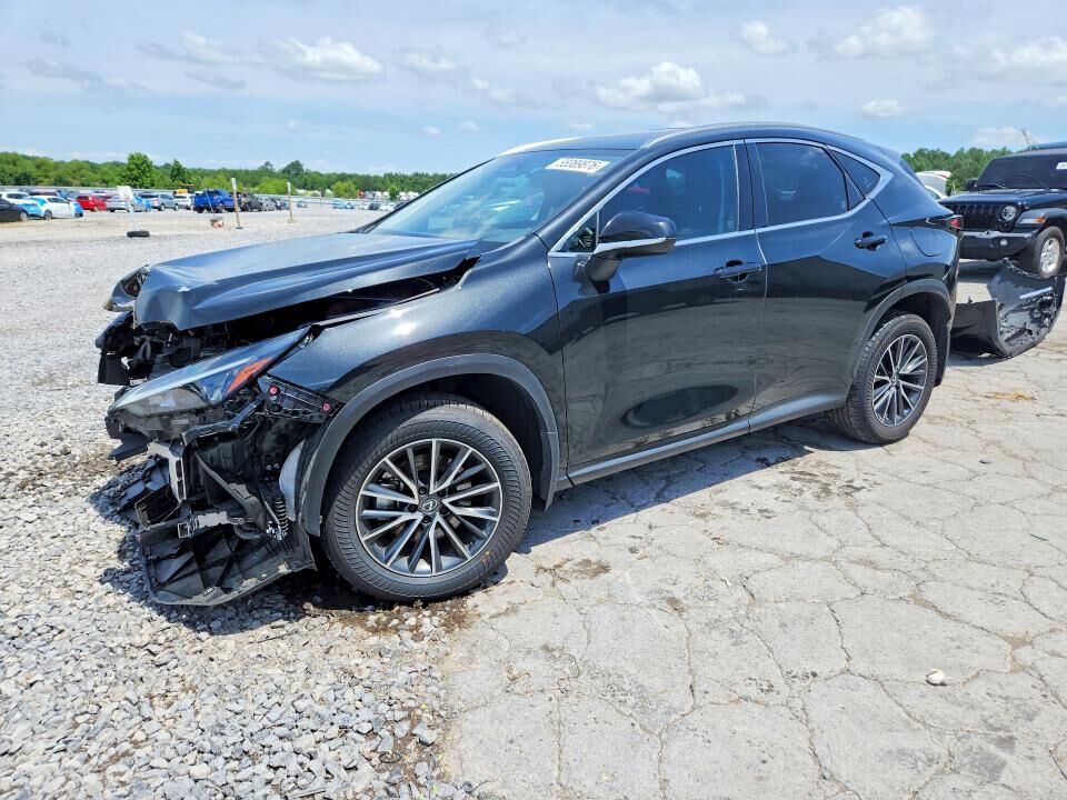 2024 LEXUS NX