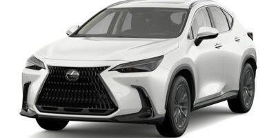 2025 LEXUS NX