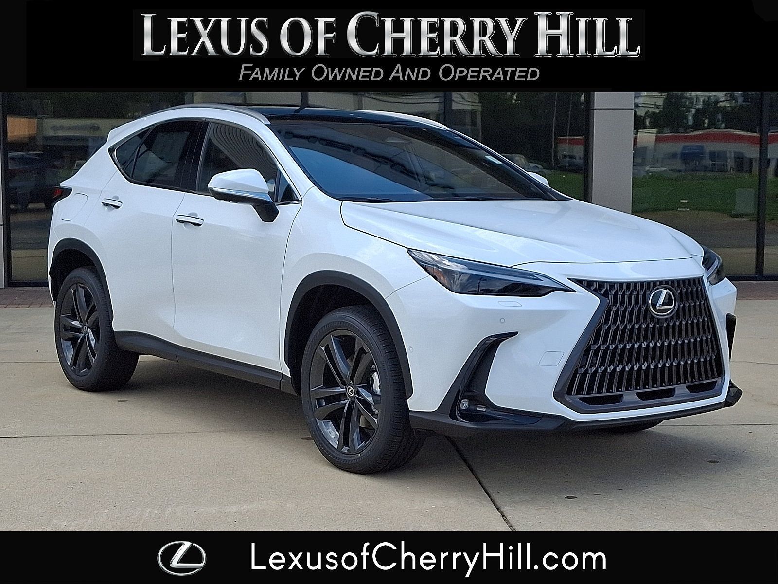 2026 LEXUS NX