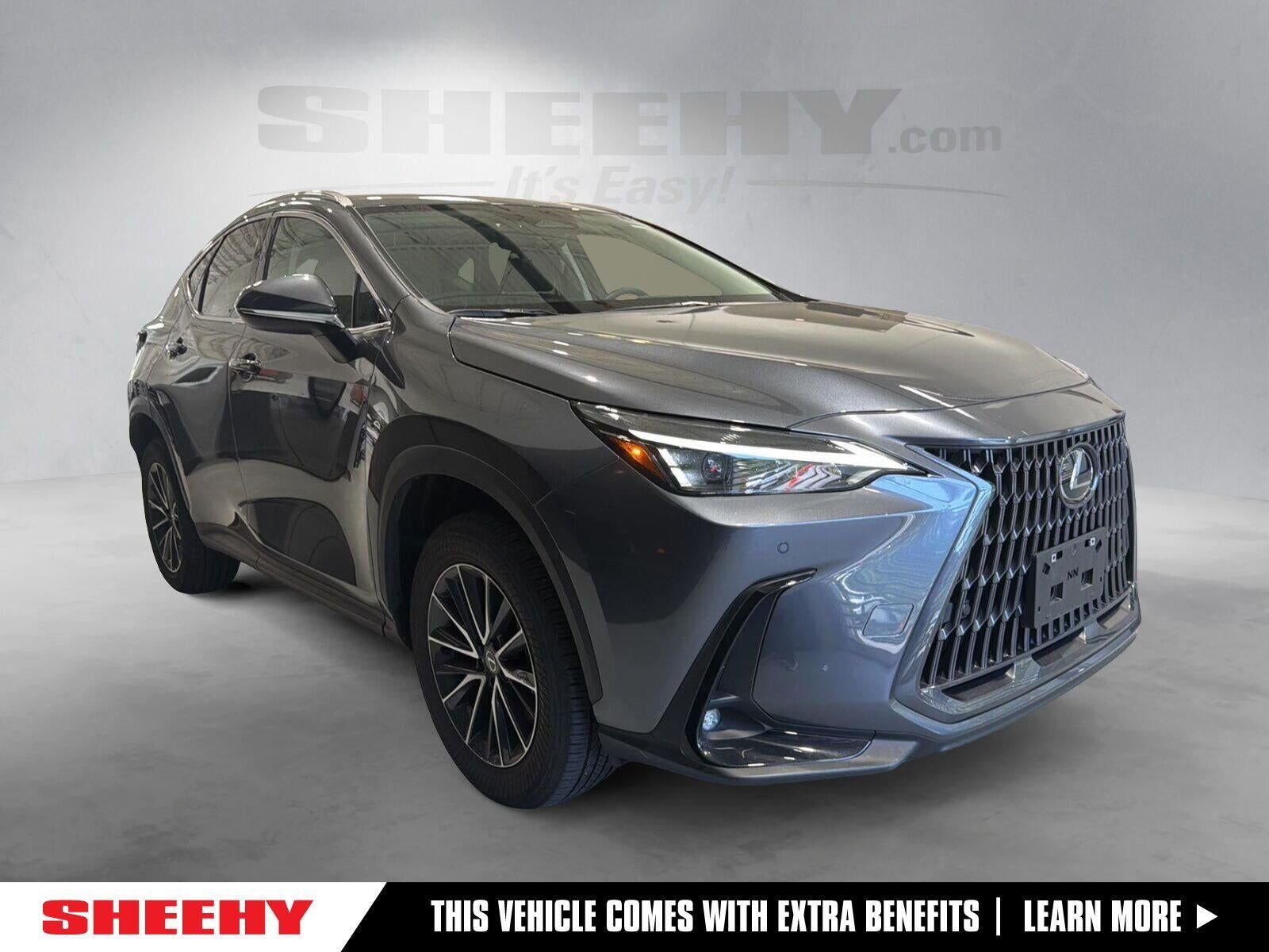 2024 LEXUS NX