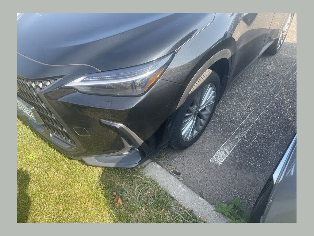 2025 LEXUS NX