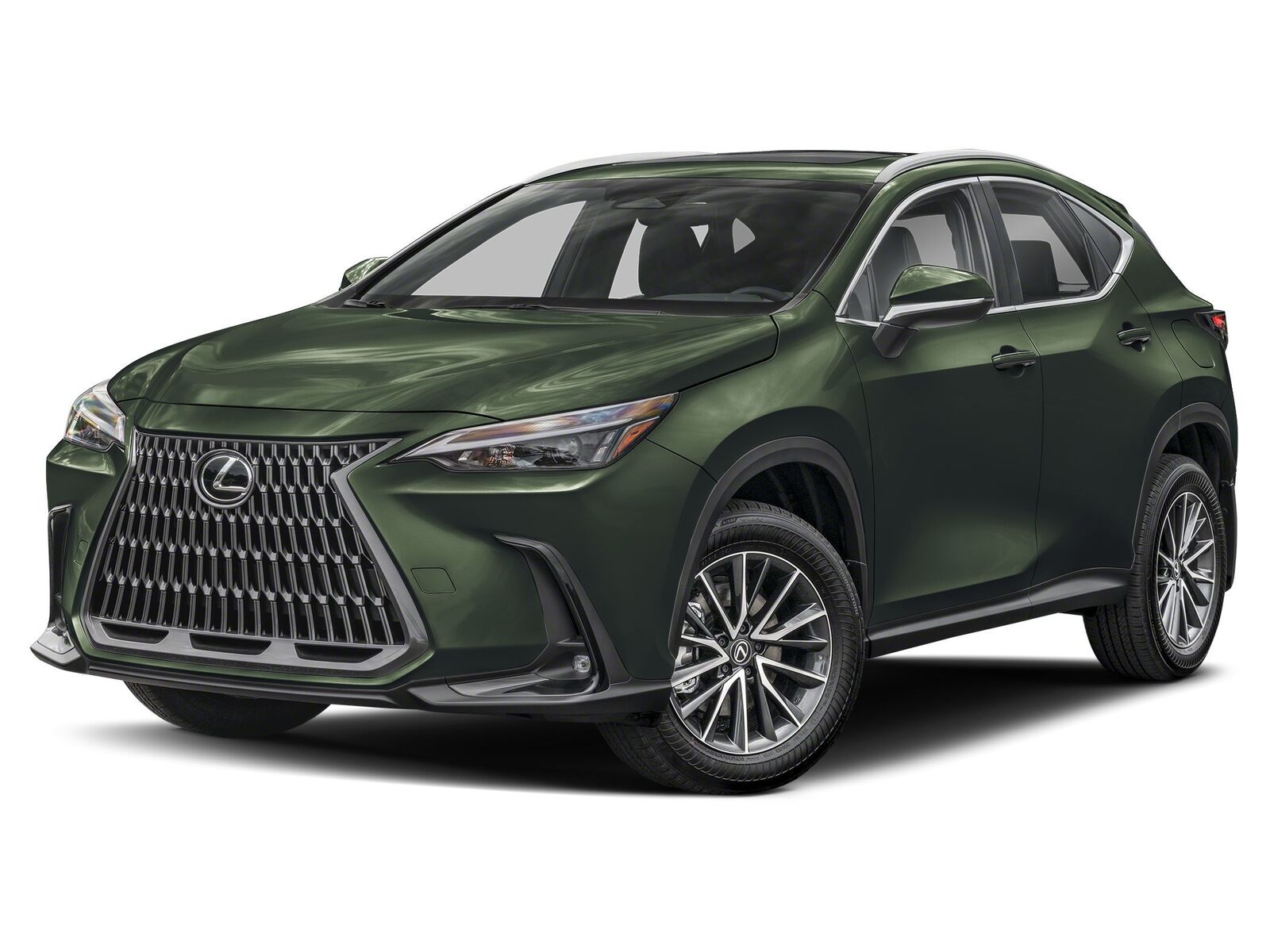 2025 LEXUS NX