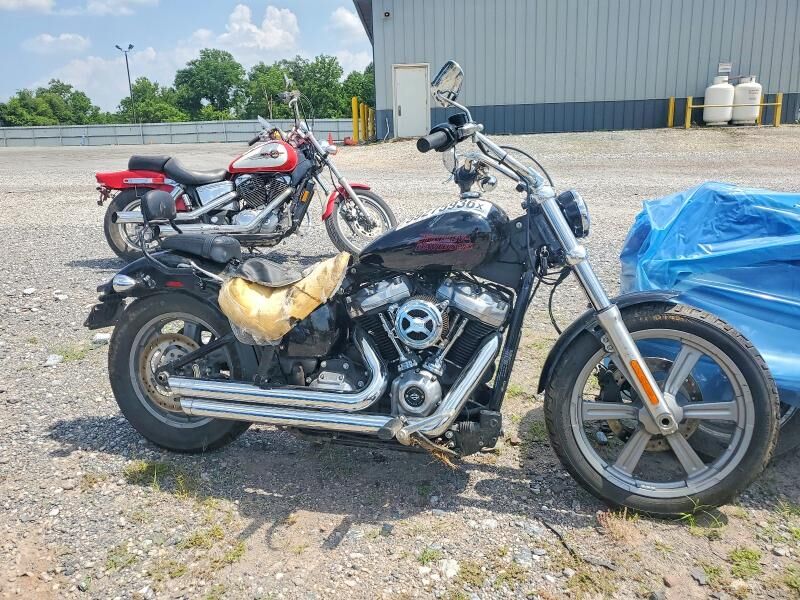 2023 HARLEY DAVIDSON Softail Standard