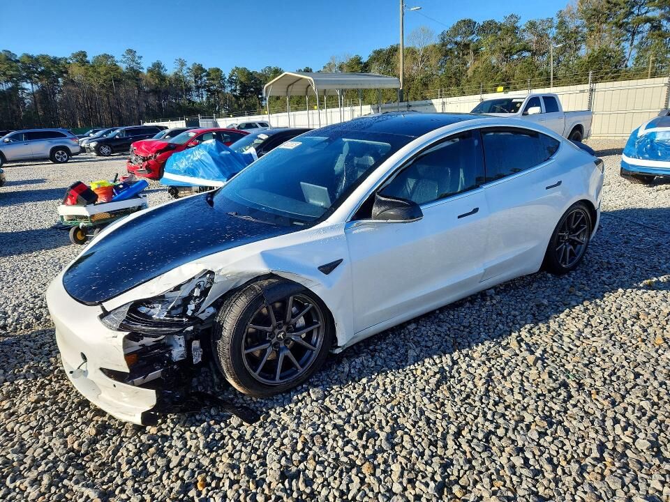 2019 TESLA Model 3