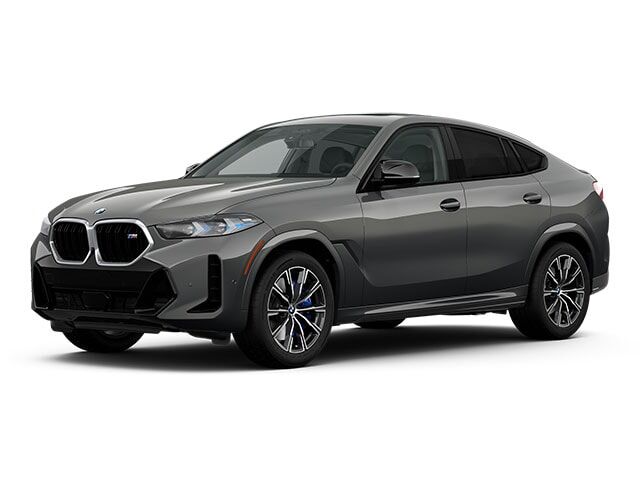 2025 BMW X6