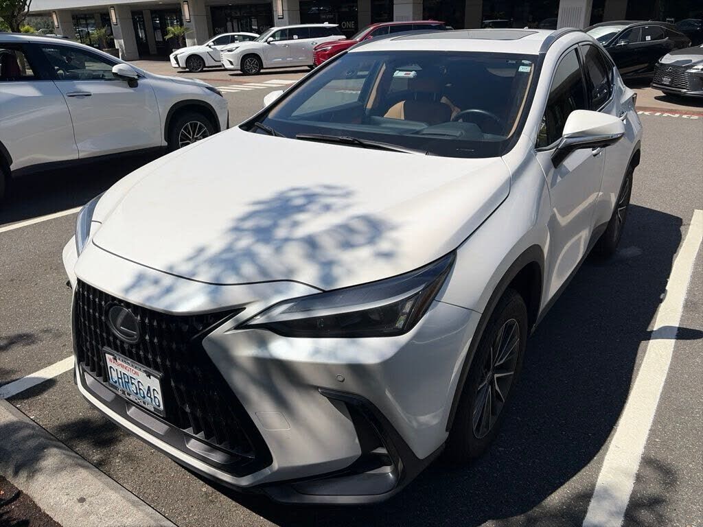 2024 LEXUS NX