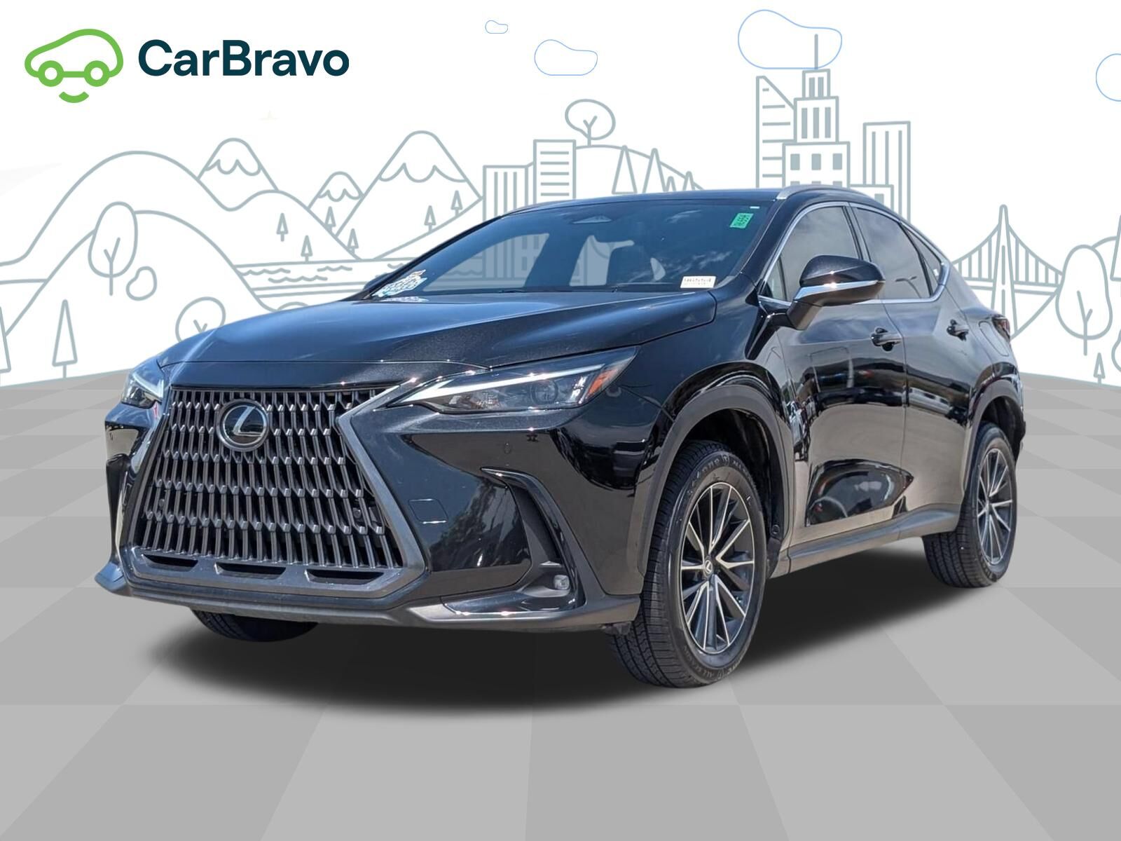 2024 LEXUS NX