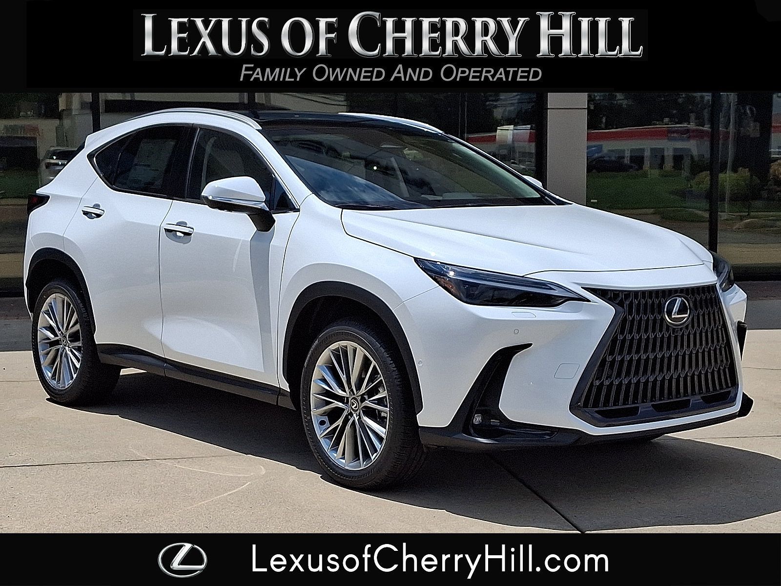 2026 LEXUS NX