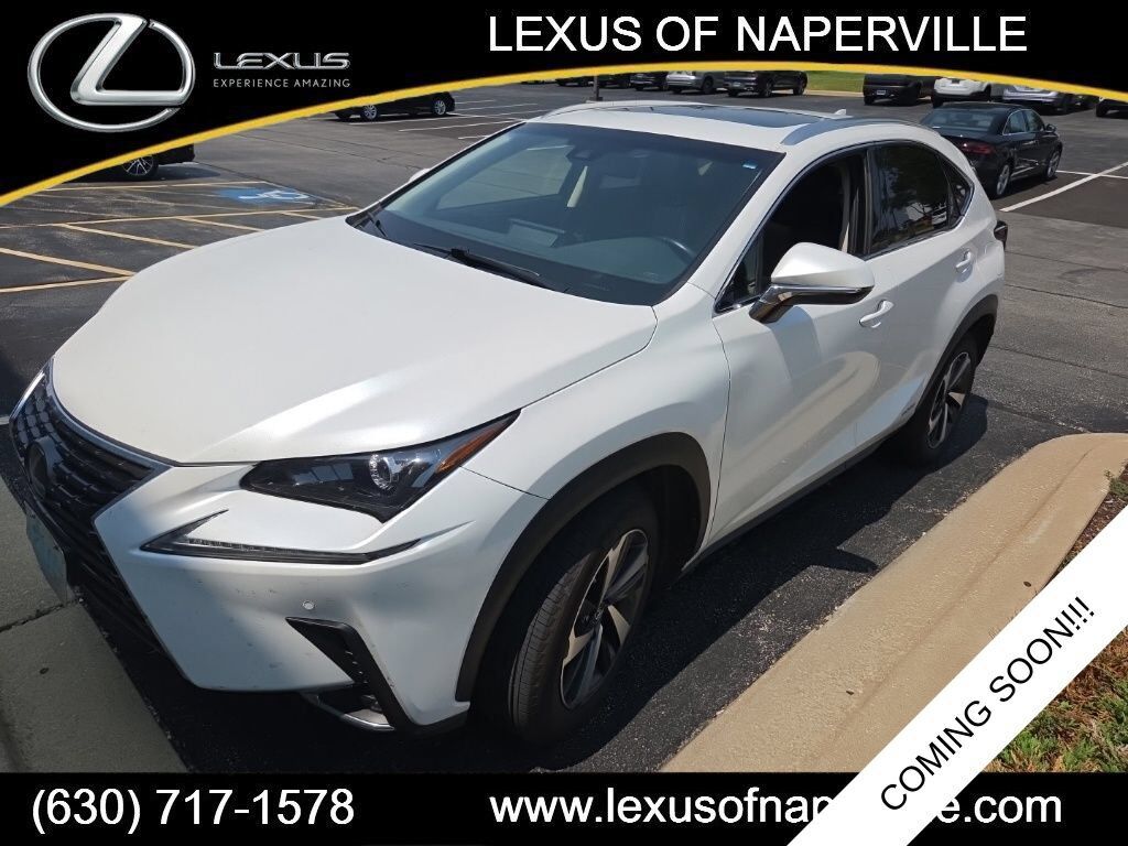 2019 LEXUS NX