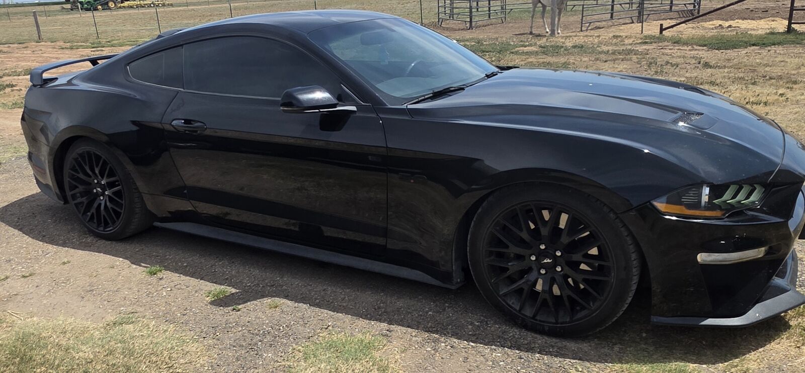 2019 FORD Mustang