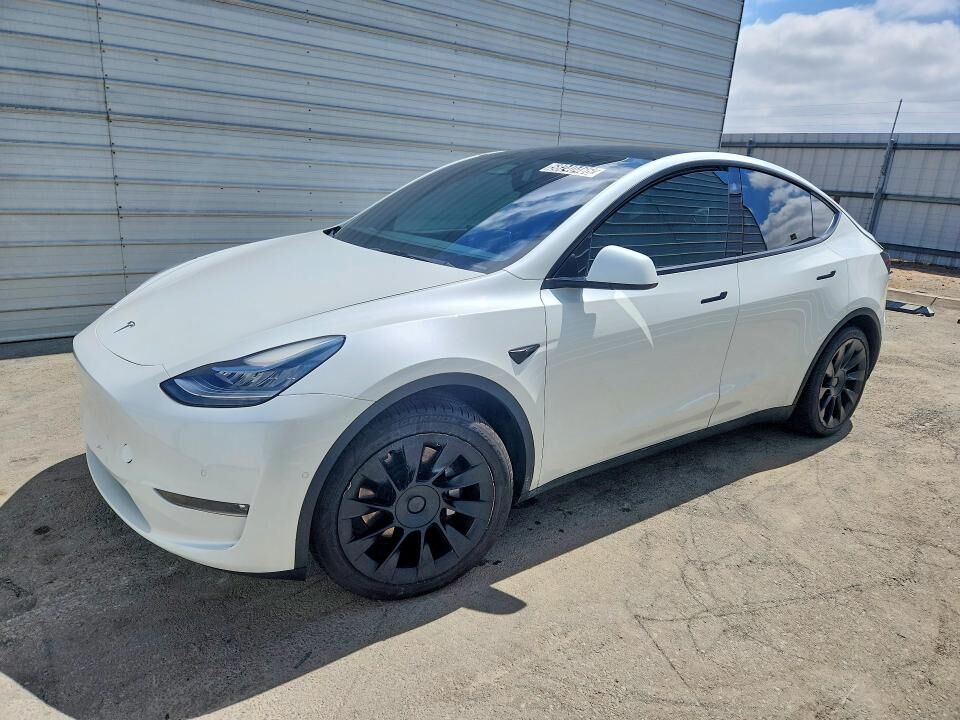 2021 TESLA Model Y