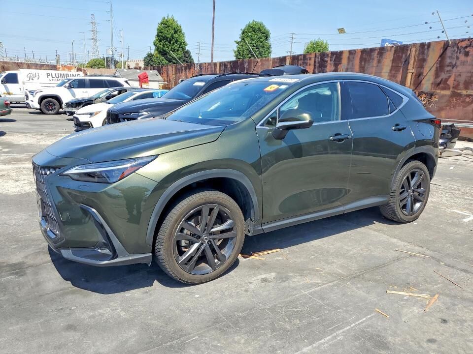 2024 LEXUS NX