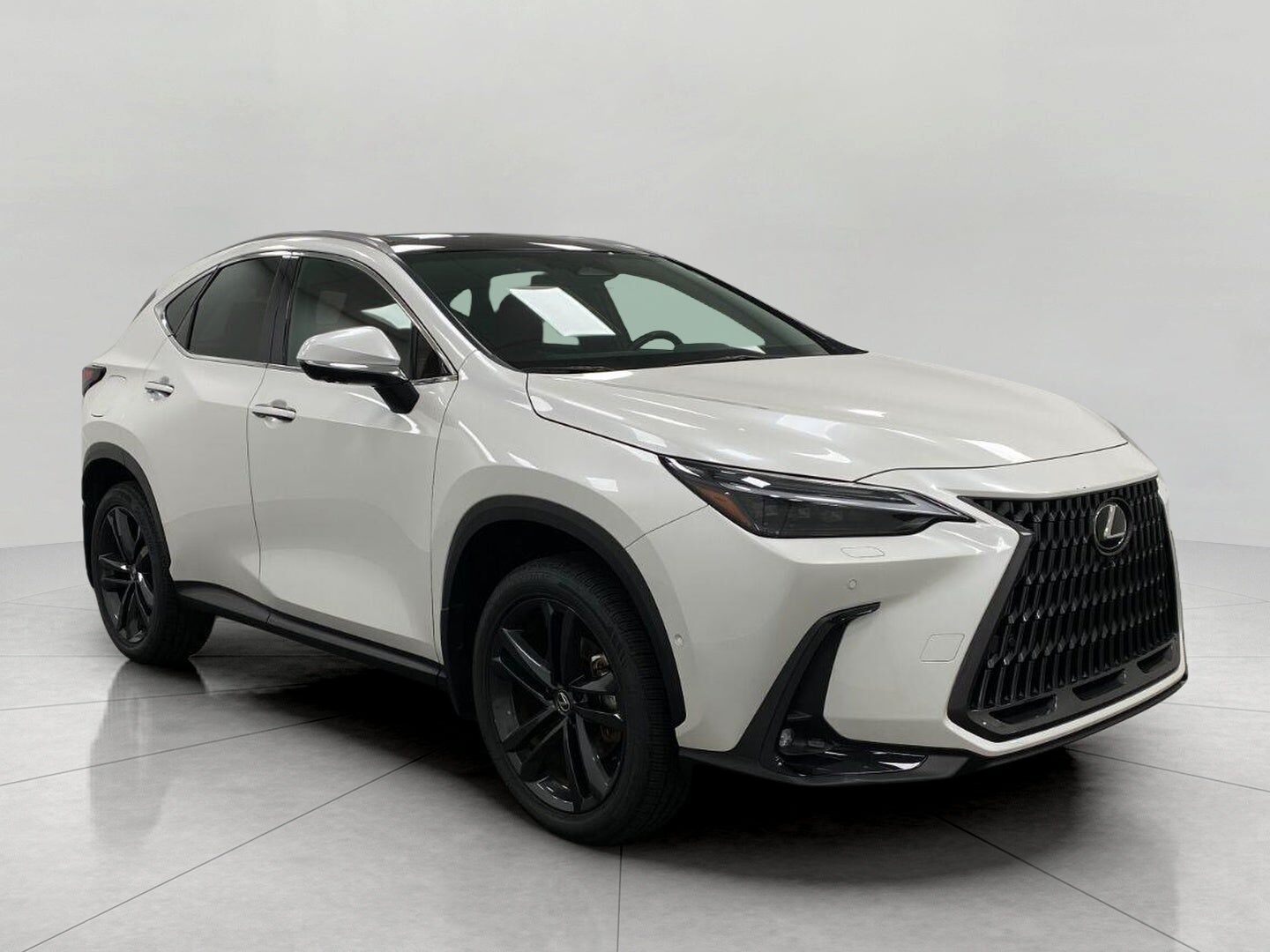 2025 LEXUS NX