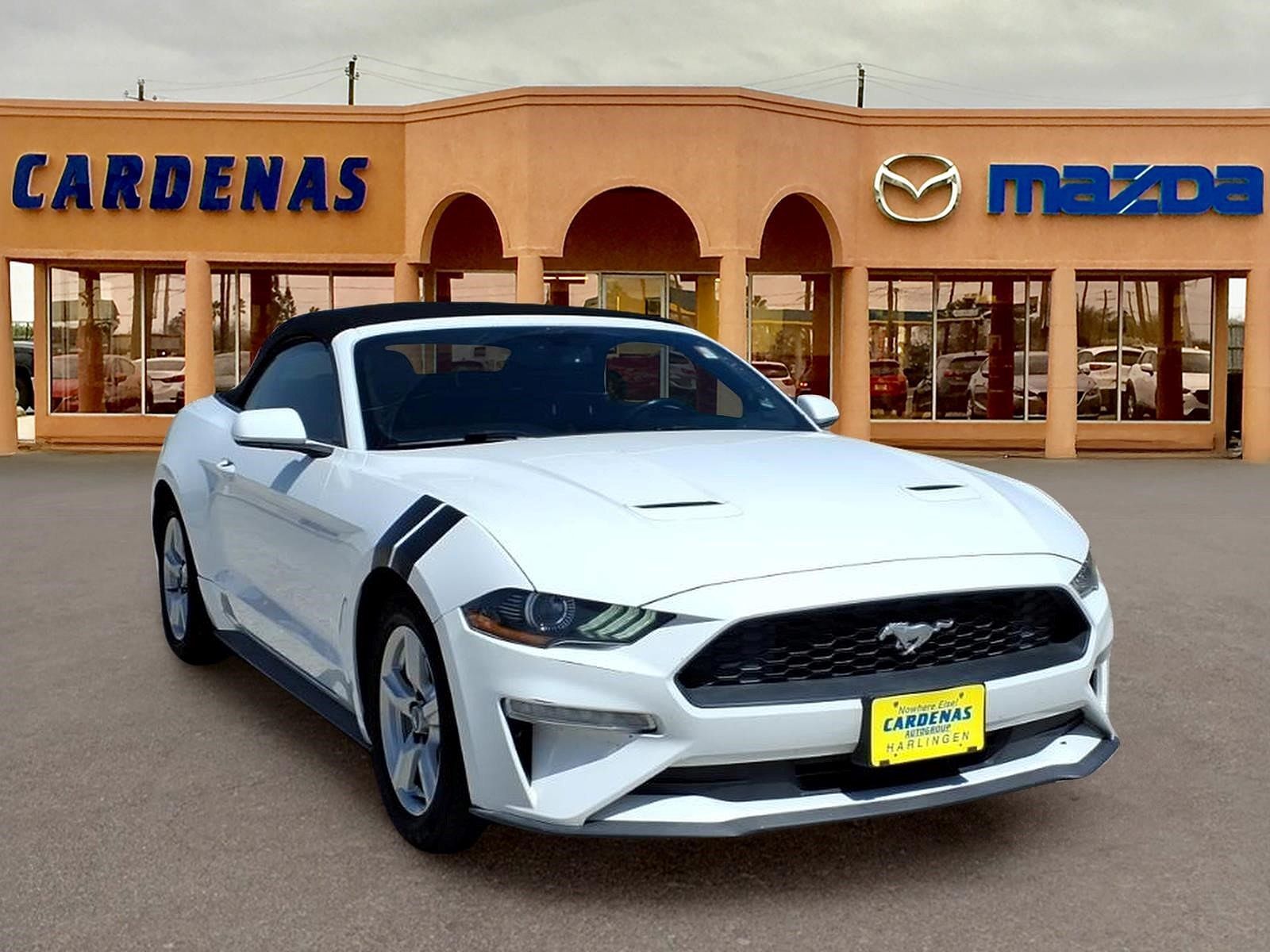 2019 FORD Mustang