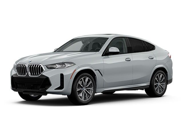 2024 BMW X6