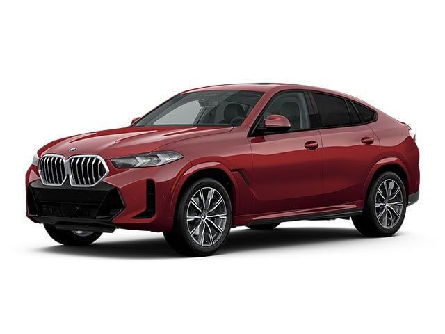 2024 BMW X6