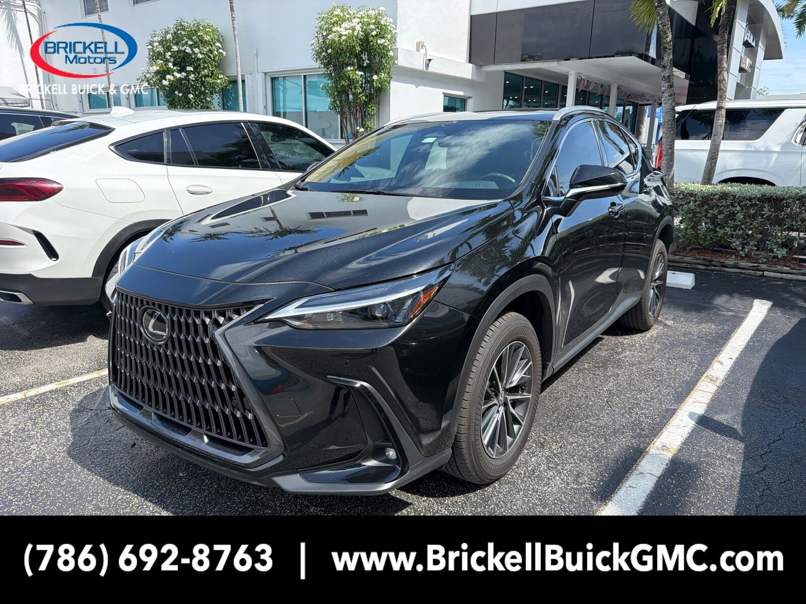 2026 LEXUS NX